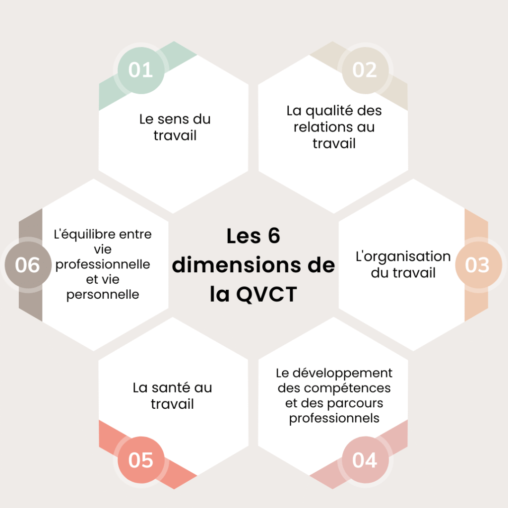 dimensions de la qvct